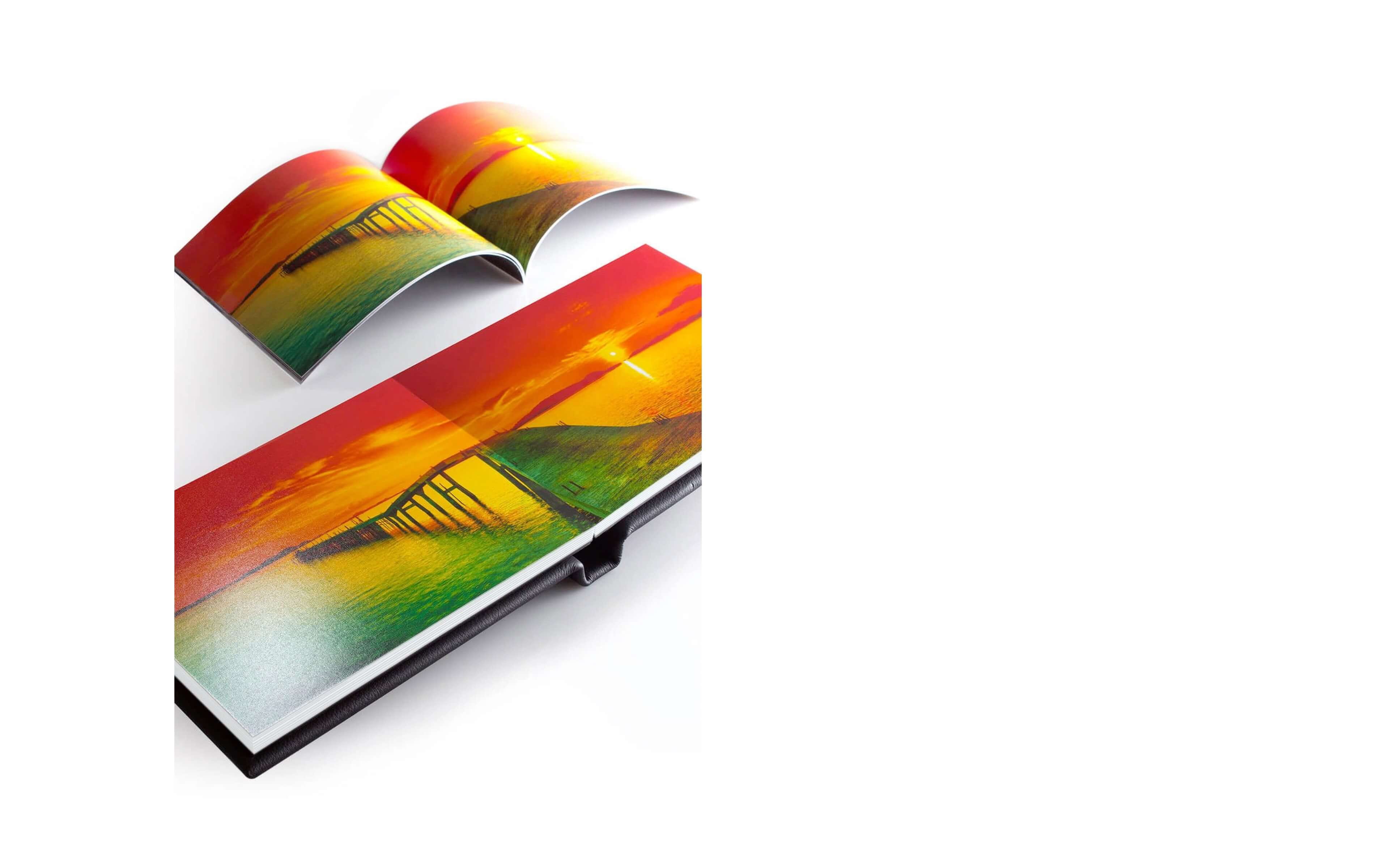book collector pro versus standard book collector pro versus standard