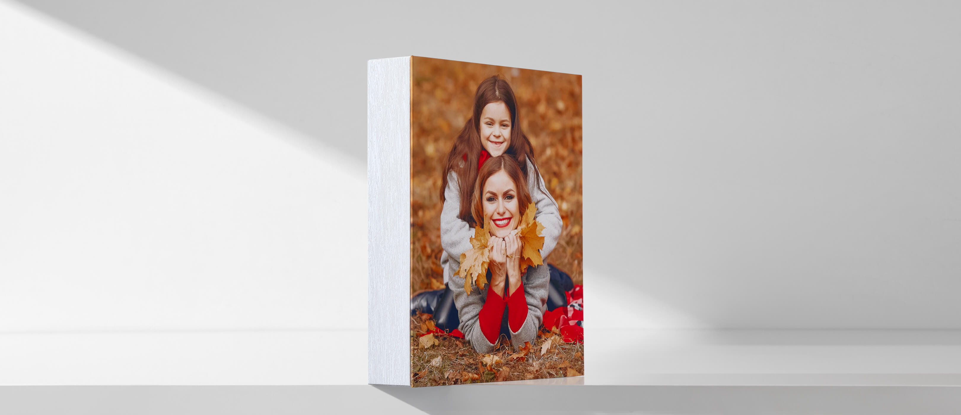 canvas-plus-3.jpg