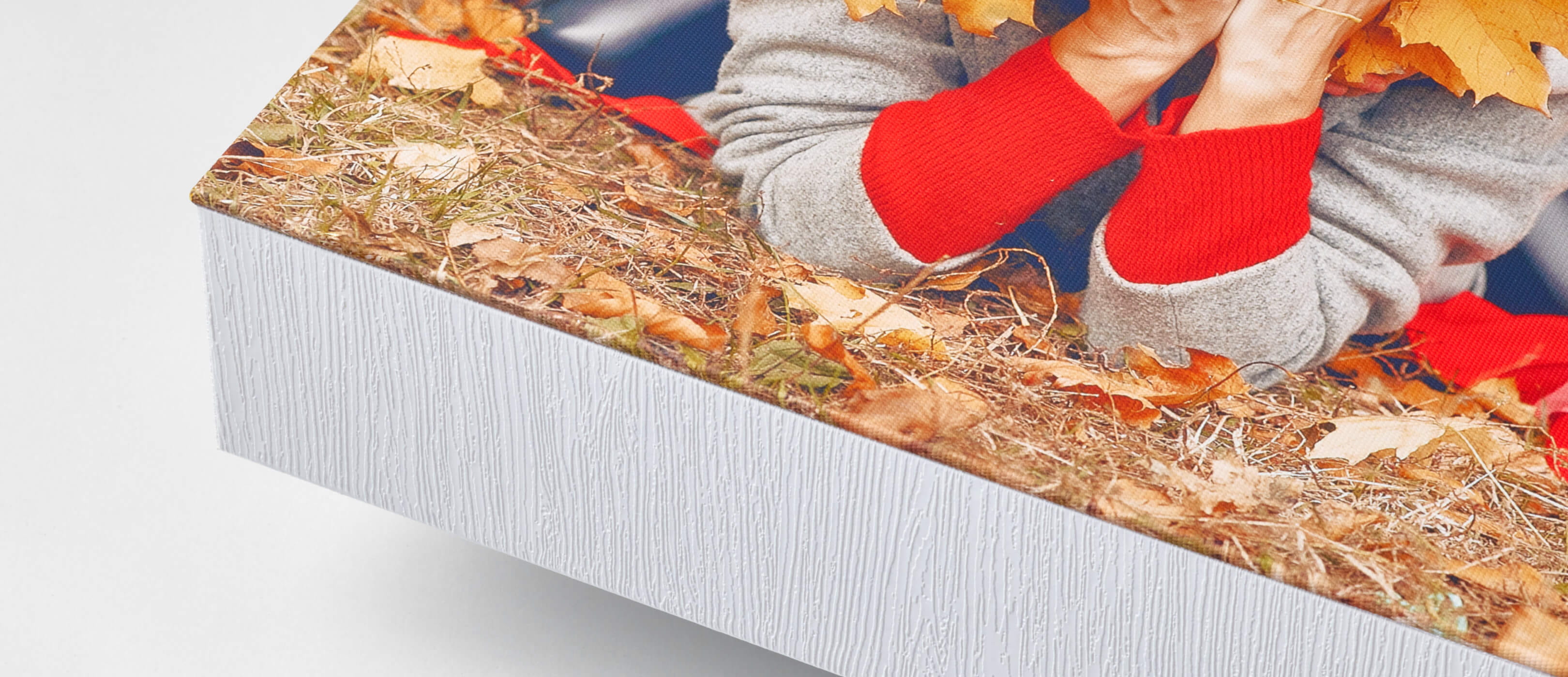 canvas-plus-4.jpg