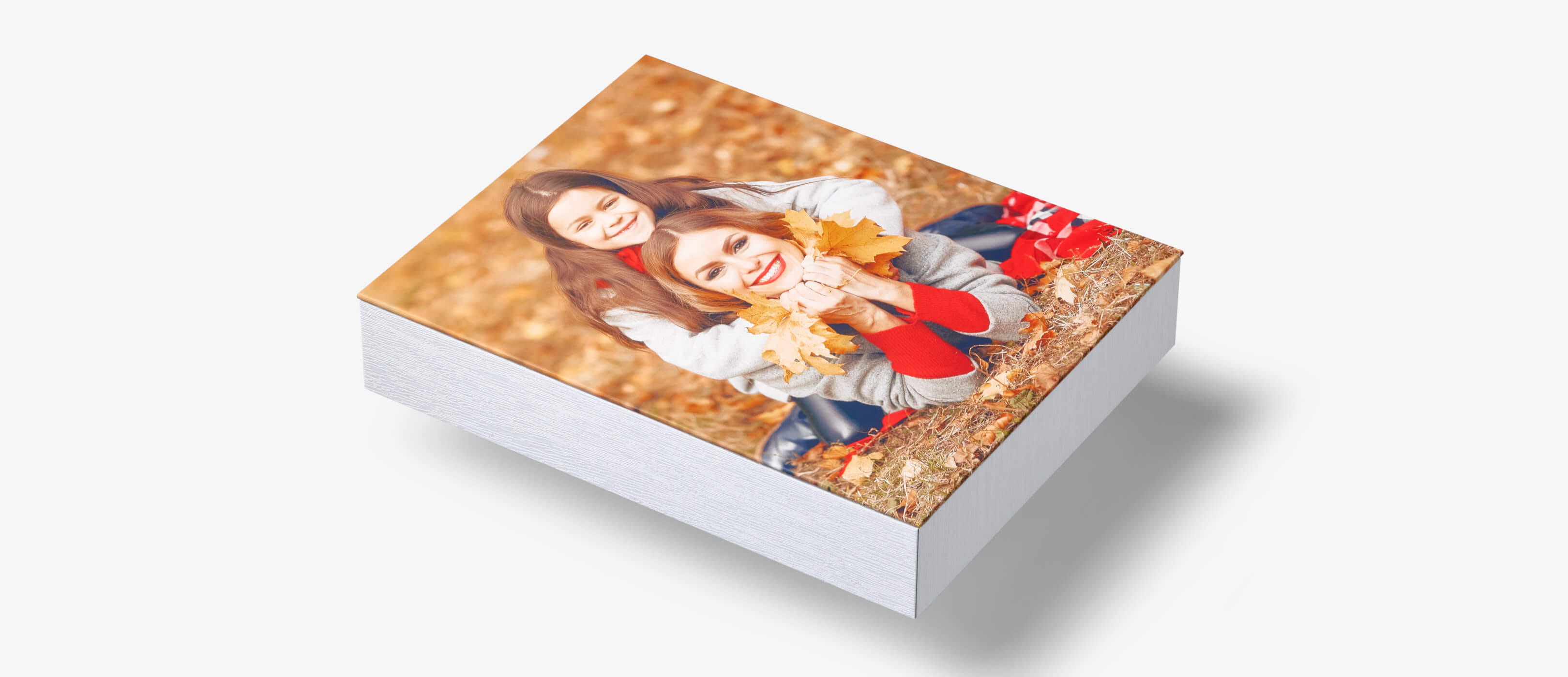 canvas-plus-5.jpg