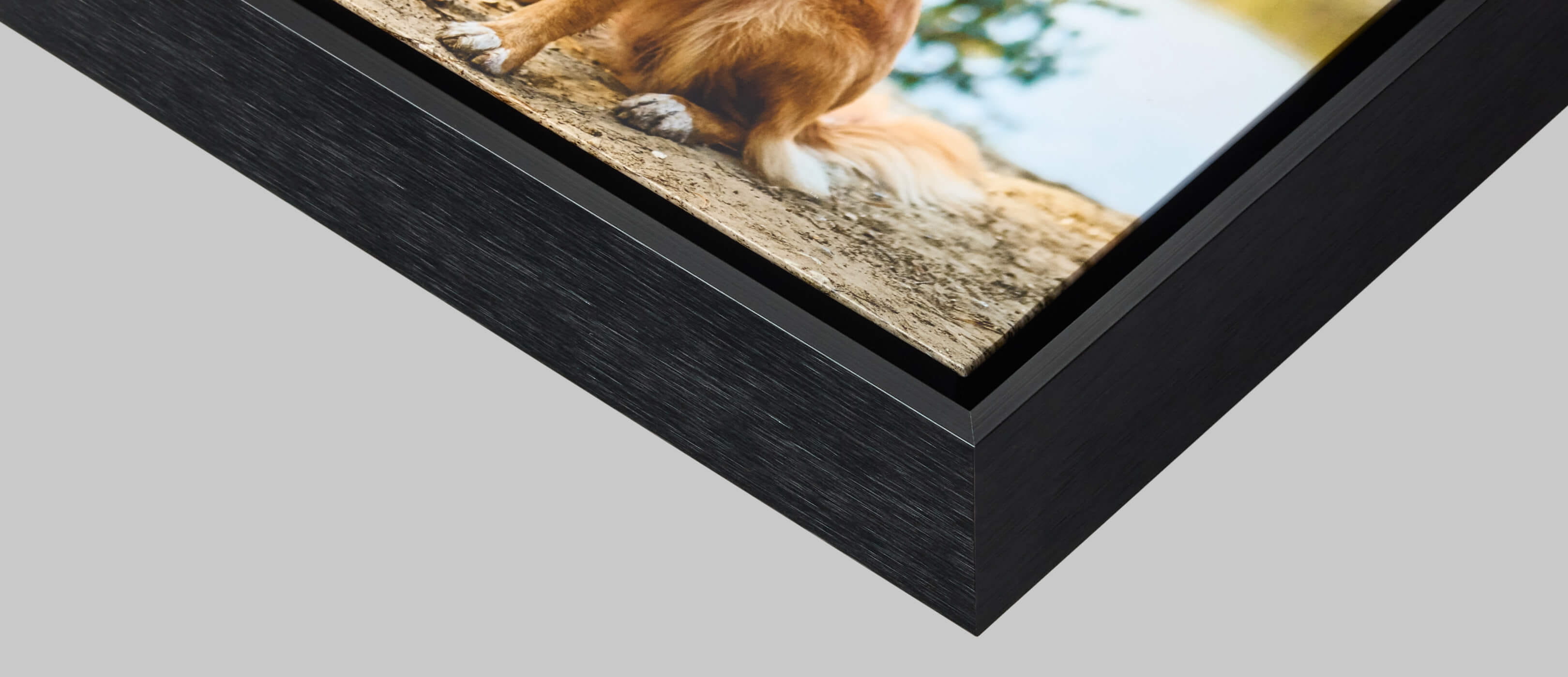 float-frames-5