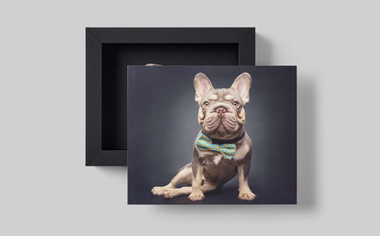 grace-box-Image-Cover