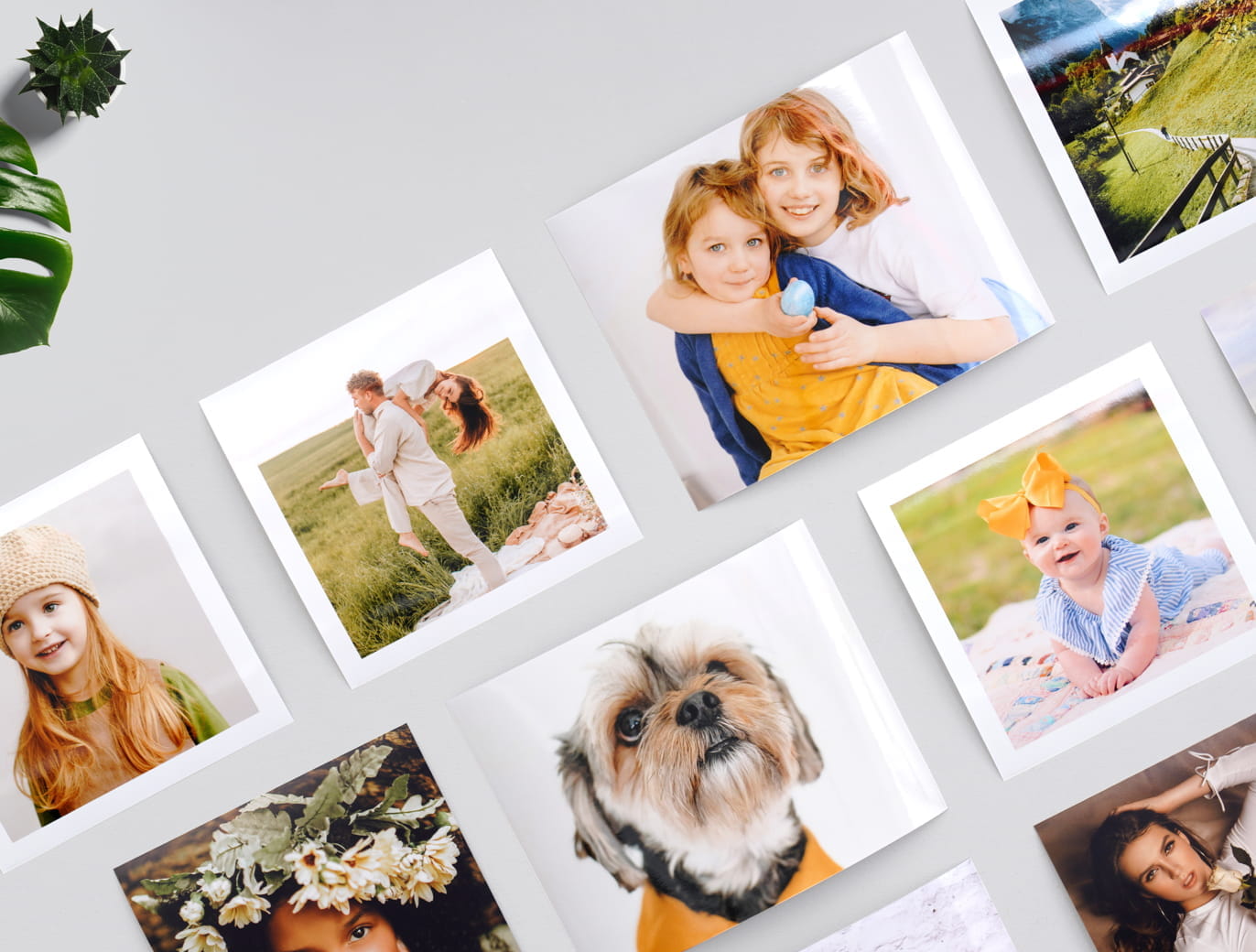 Photo Prints | Order Pro Lab Quality Prints Online | Zno™