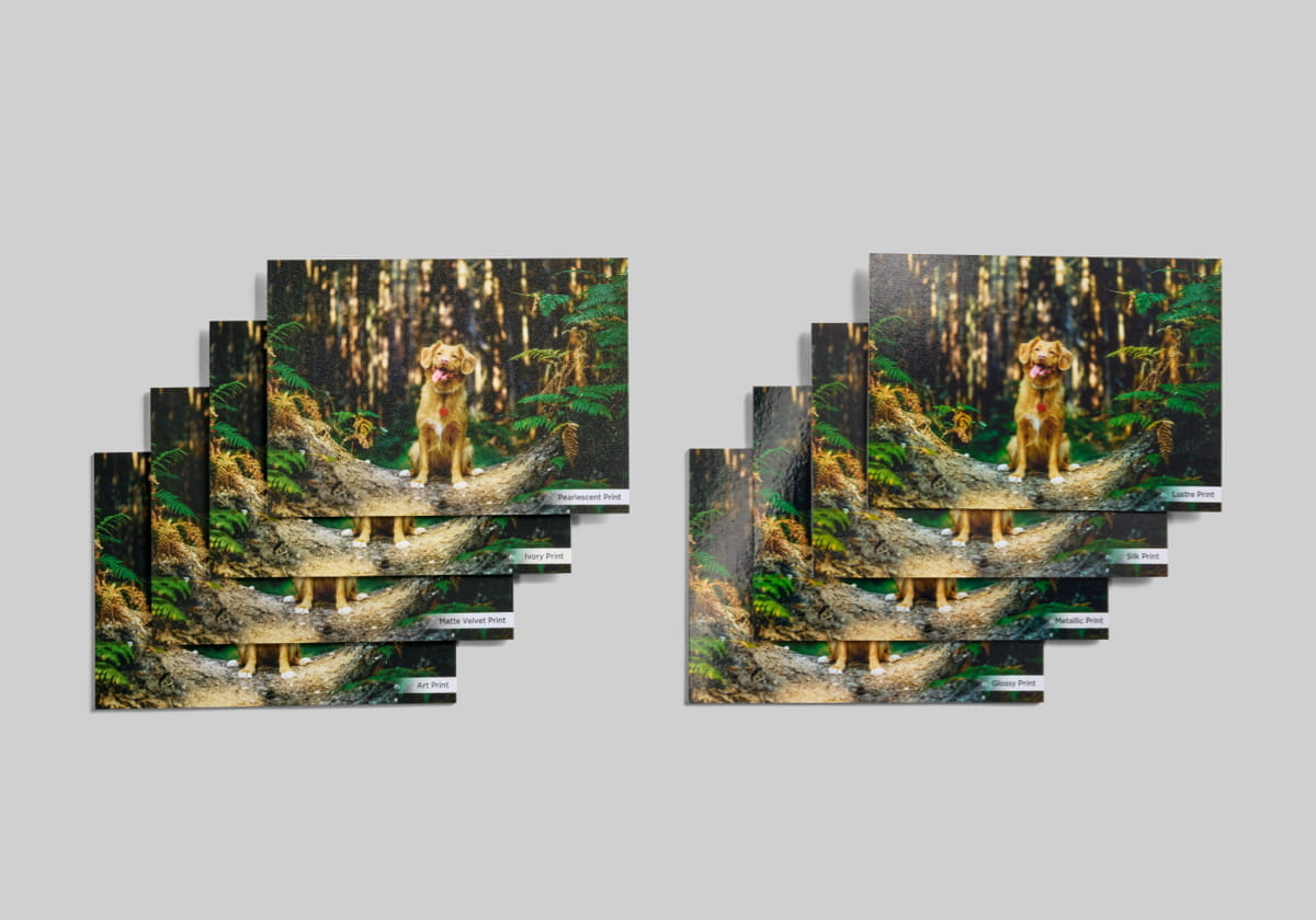 mounted-prints-sample-kit-2